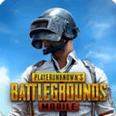 pubgʷ